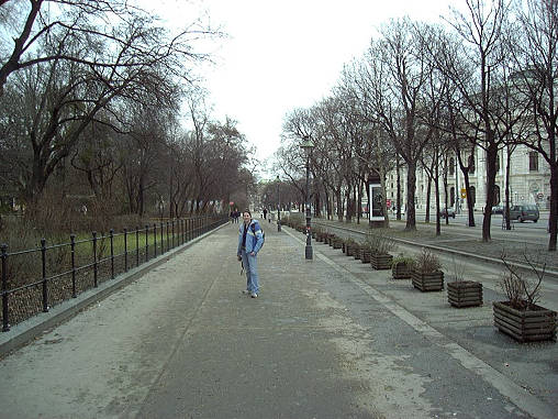Treelined Street